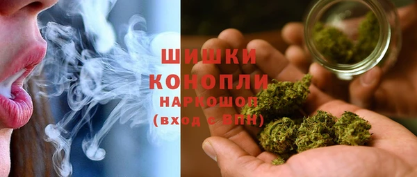 гидра Лихославль