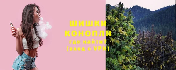 прущие грибы Лиски