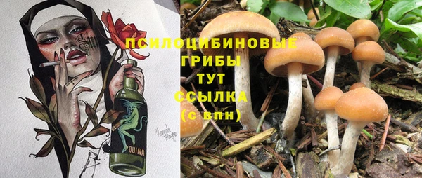 прущие грибы Лиски