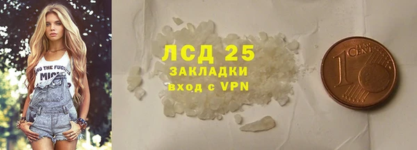 прущие грибы Лиски