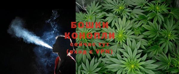 ECSTASY Липки
