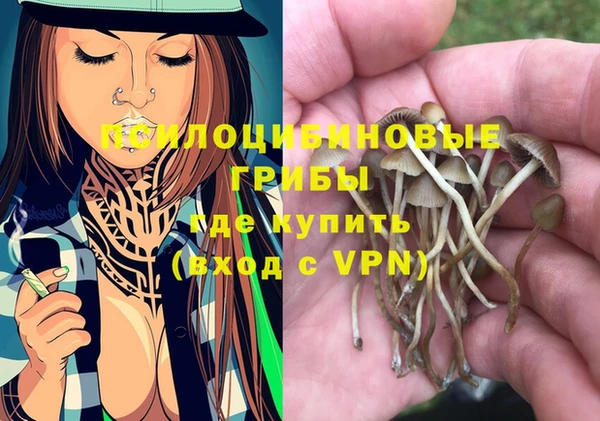 гидра Лихославль