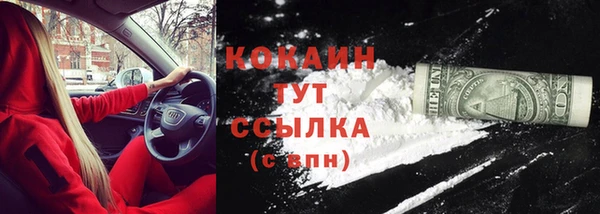 гидра Лихославль